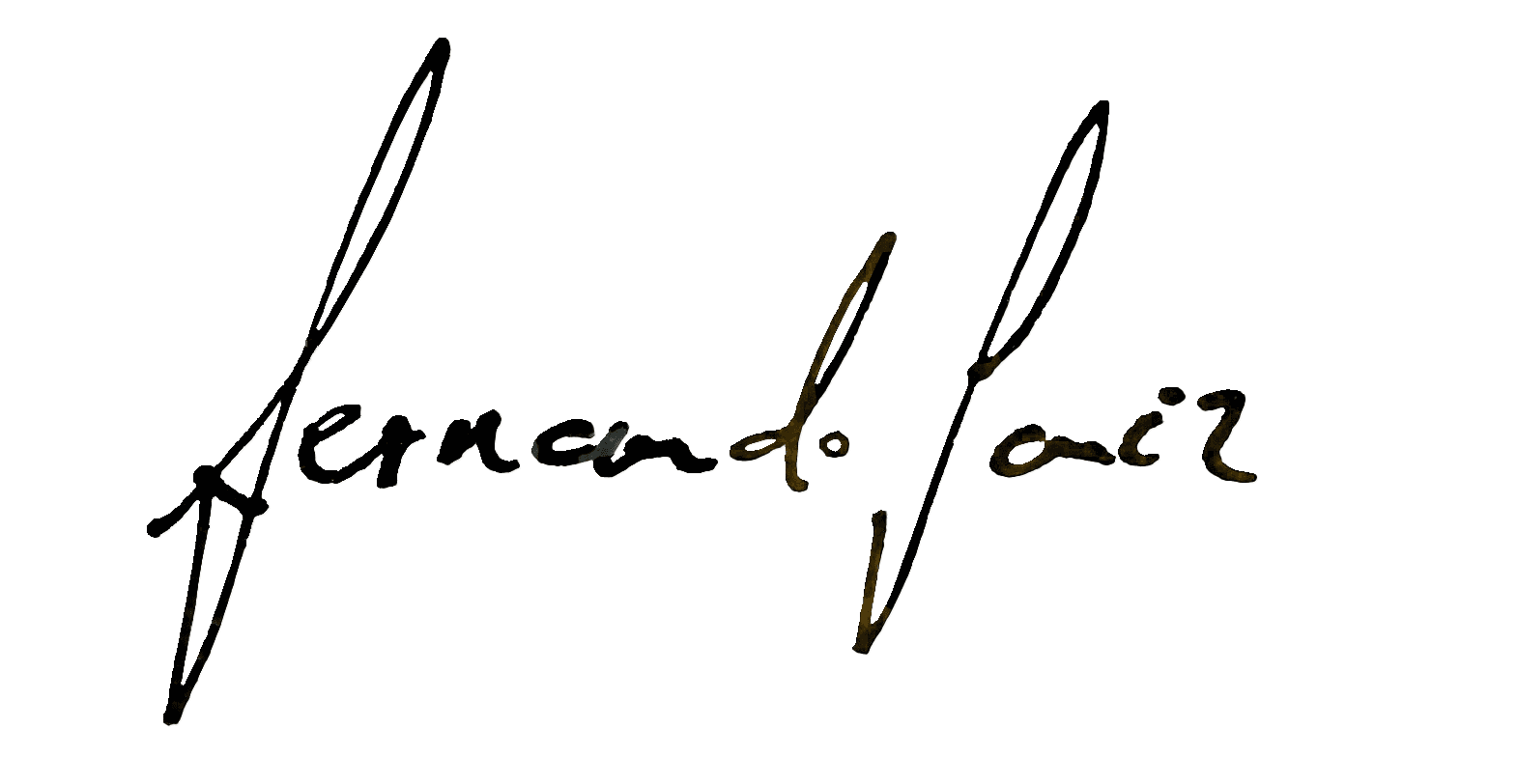 Firma de Fernando Saiz